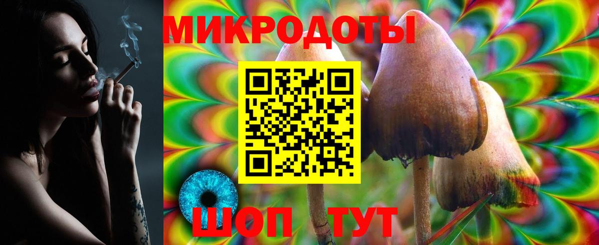 Галлюциногенные грибы GOLDEN TEACHER  Вход с VPN  Протвино 