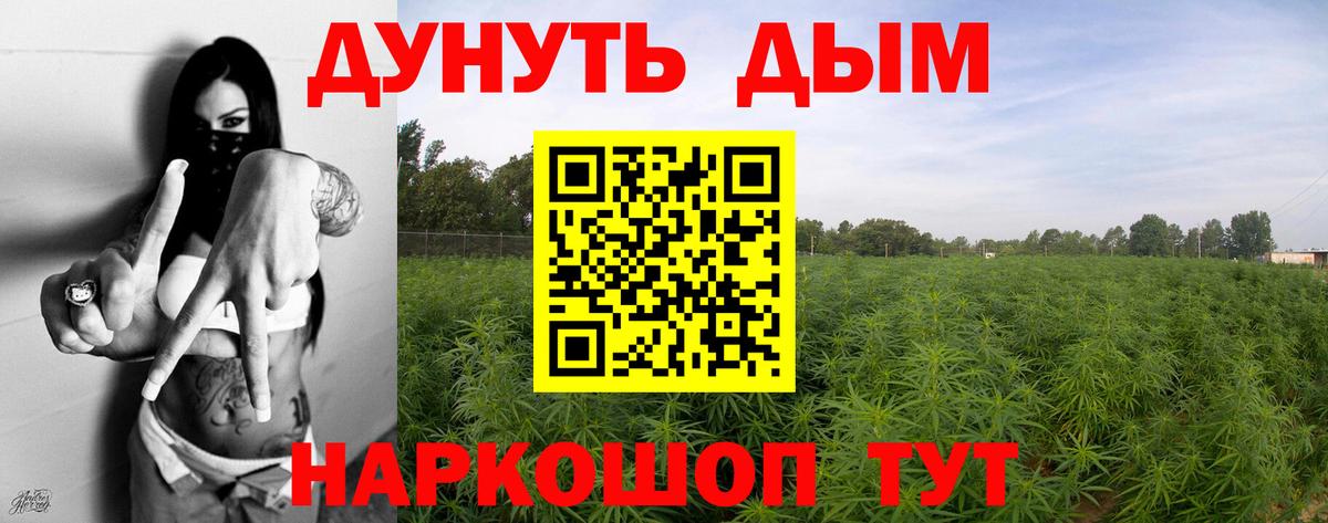 Протвино  МАРИХУАНА конопля  МАРИХУАНА ГИДРОПОН  Вход с VPN 